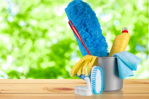 Professional pet stain odour removal in a Harrow home with carpet cleaning