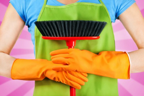 Professional carpet cleaning in a Harrow home interior