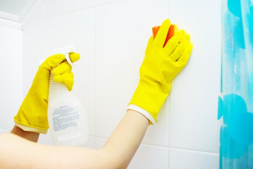 Carpet stain cleaning service in Harrow