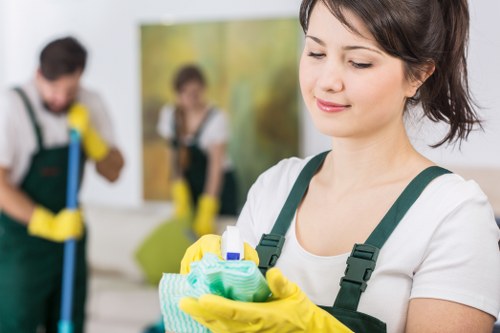 Professional carpet deep cleaning process