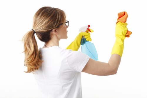 Deep cleaning treatment for pet odour removal on upholstered furniture