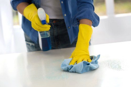 Leather sofa cleaning and conditioning process